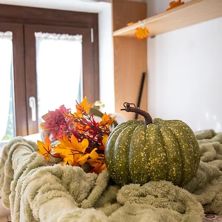 Lo Scoiattolo By Ca-sa Check *